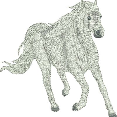 397009 Thumbnail