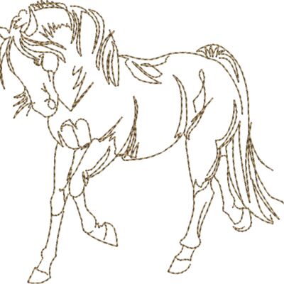 WS601 48 Thumbnail