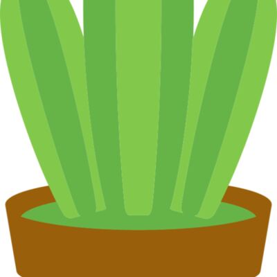 Cactus 1 Thumbnail
